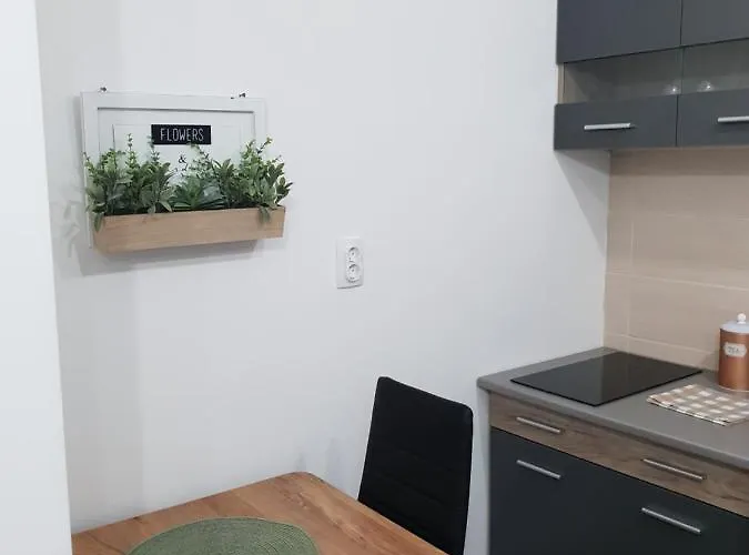 In Apartman Kruševac